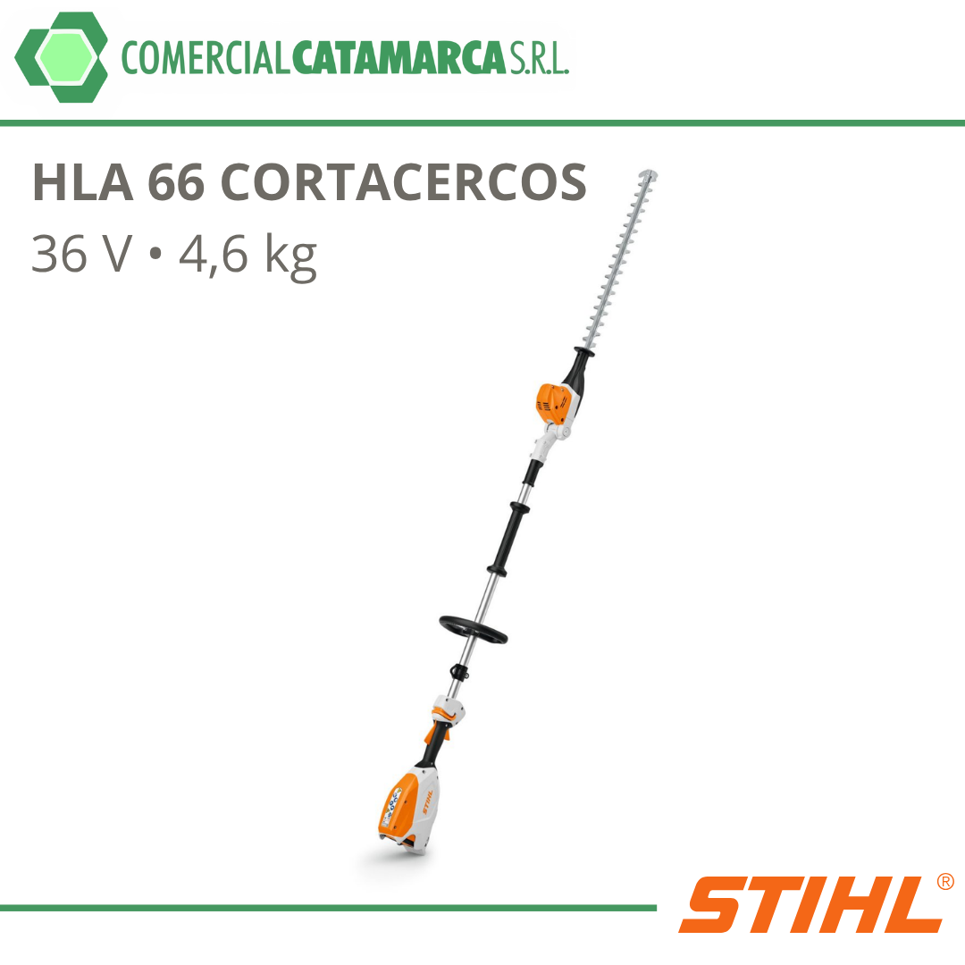 HLA 66