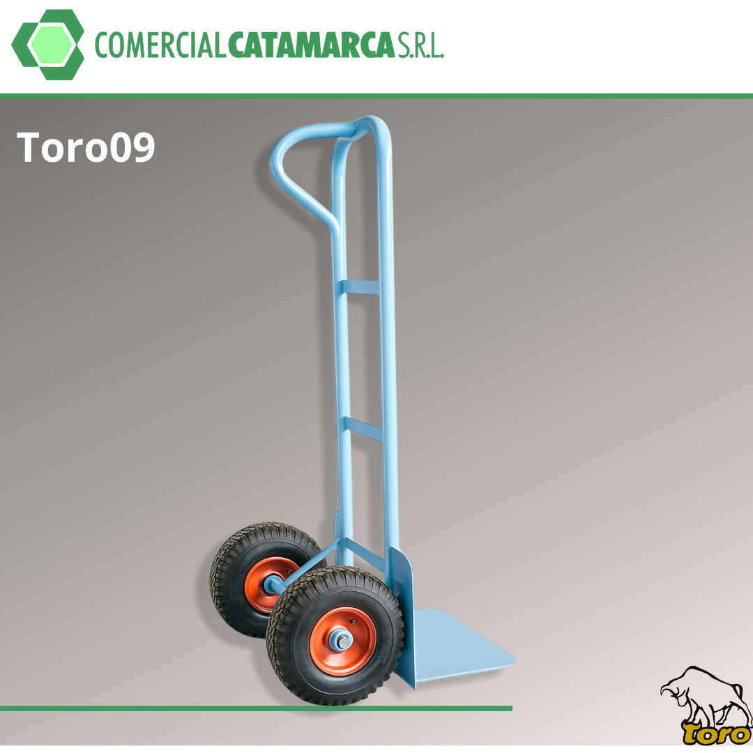 toro09